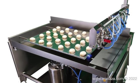 Equipment for applying of egg product with moving bridge (photo 1 of 3)